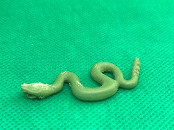 4f8cbdc3 eb6a 42e2 a2c0 4a9ea9fe4924