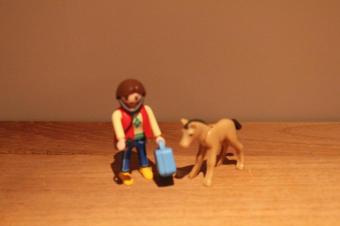 Playmobil dierenarts met veulen 5820