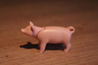 Playmobil biggetje