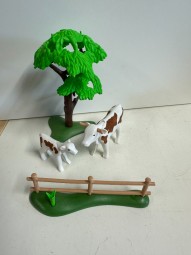 Img9591