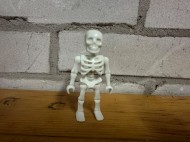 Img0246