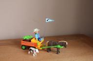 Playmobil pony kar met kind en hond 3118